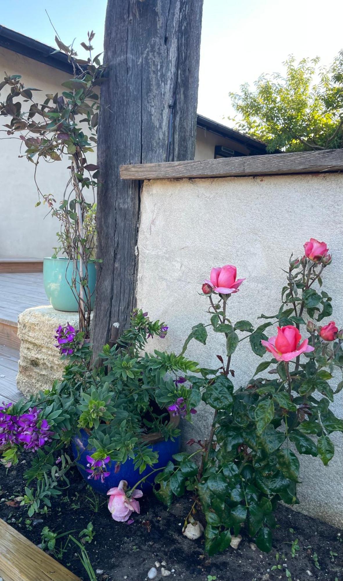 Bed and Breakfast Instant Zen Saint-Vivien-de-Médoc Exterior foto